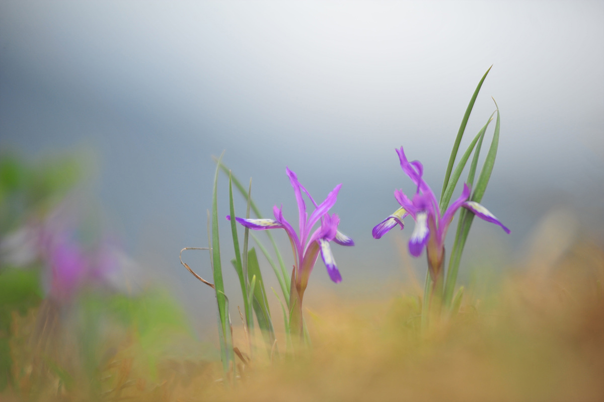 DSC_5444s.jpg