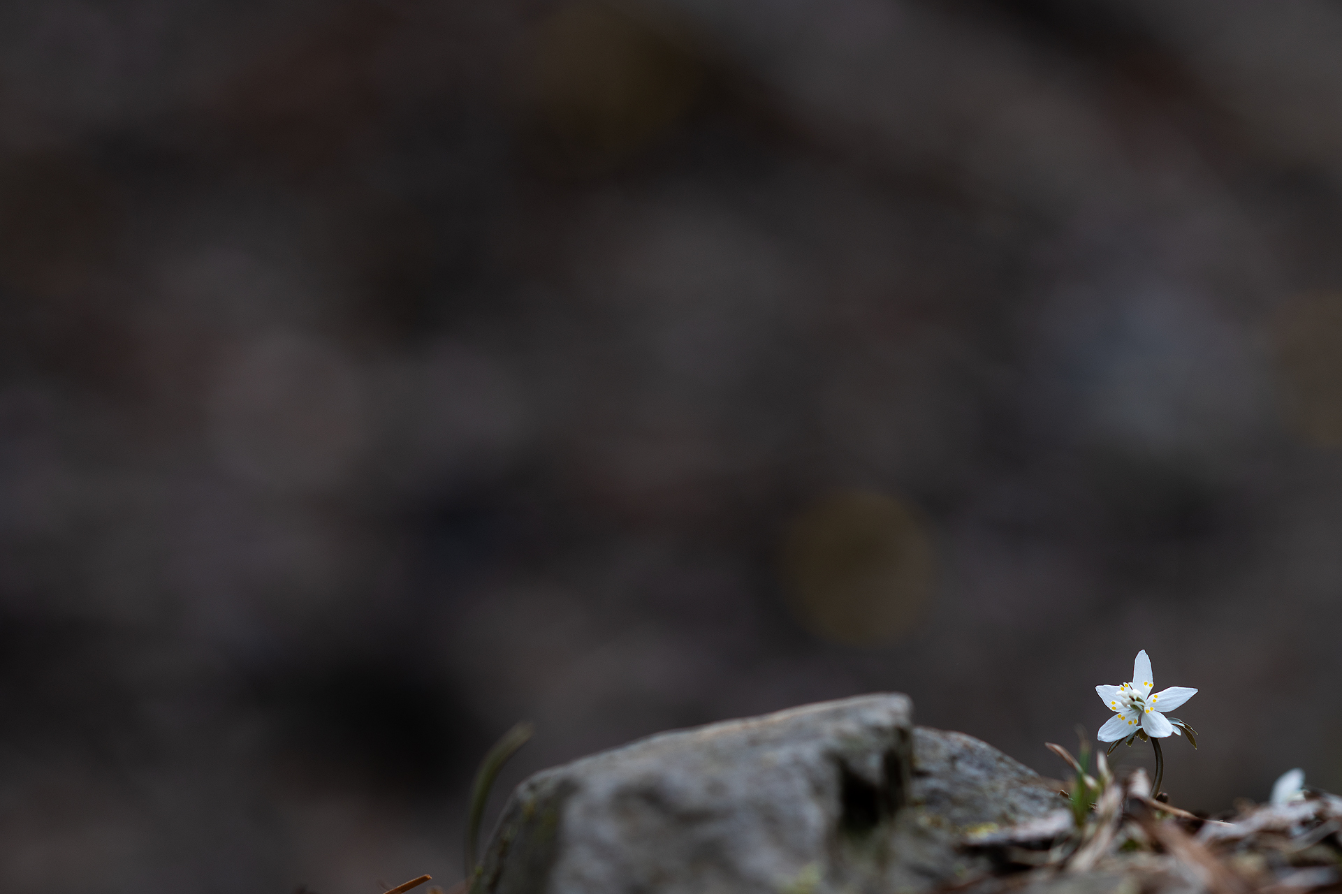 _DSC0766.jpg