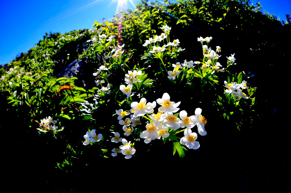 DSC_7541s.jpg