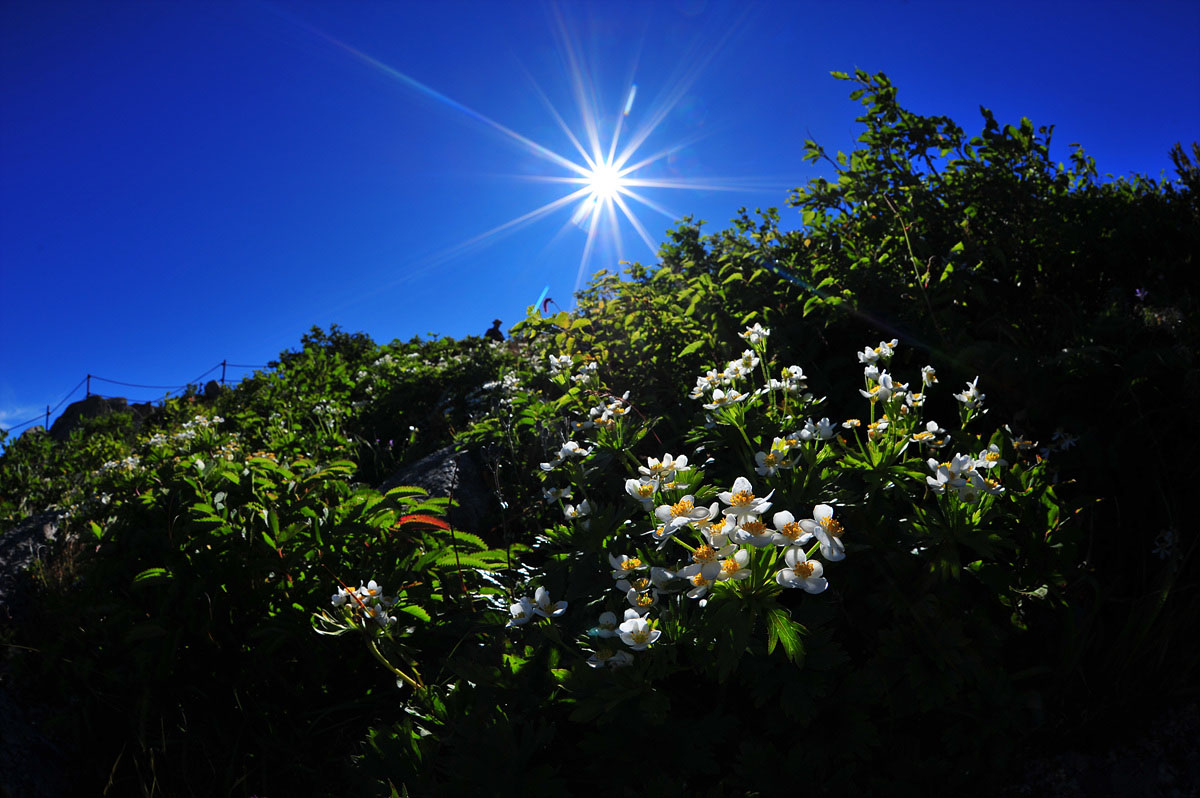 DSC_7542s.jpg