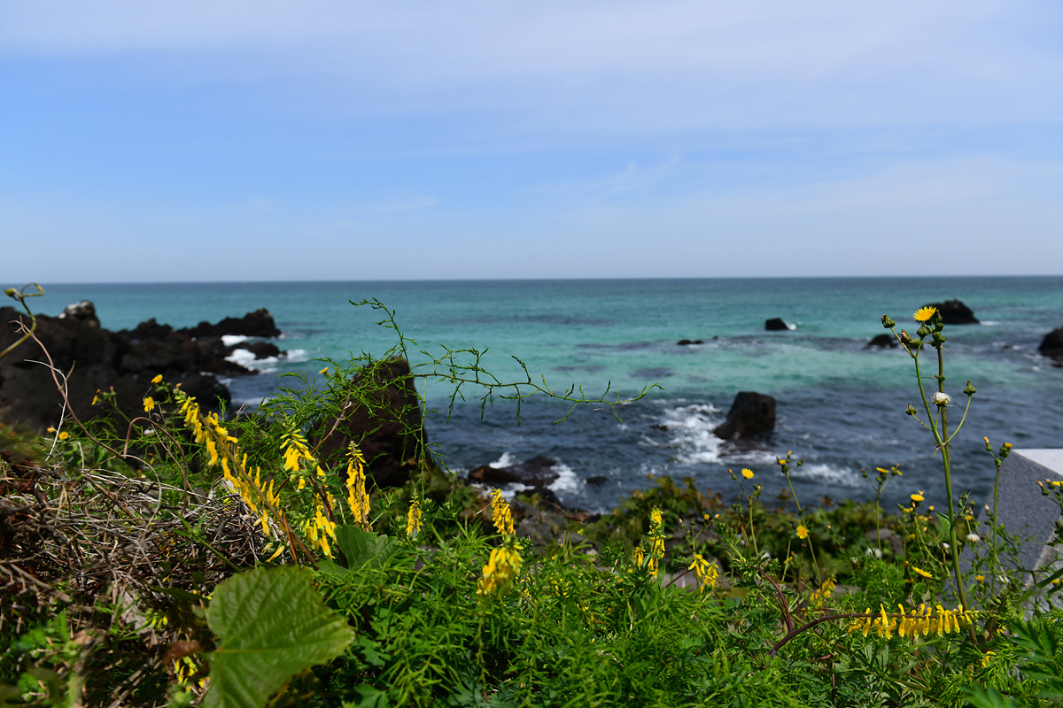 DSC_4559sss.jpg