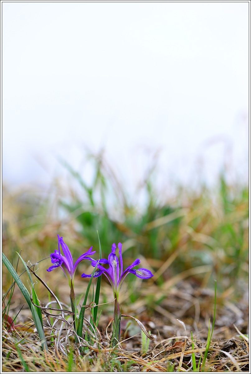 CJH_8197 완.jpg