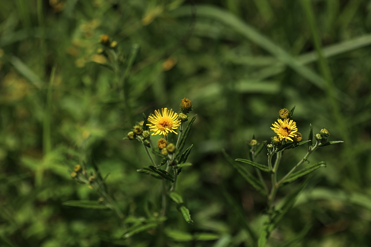 25-07-13 (4)-1.JPG