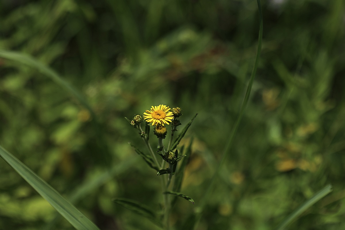 25-07-13 (6)-1.JPG