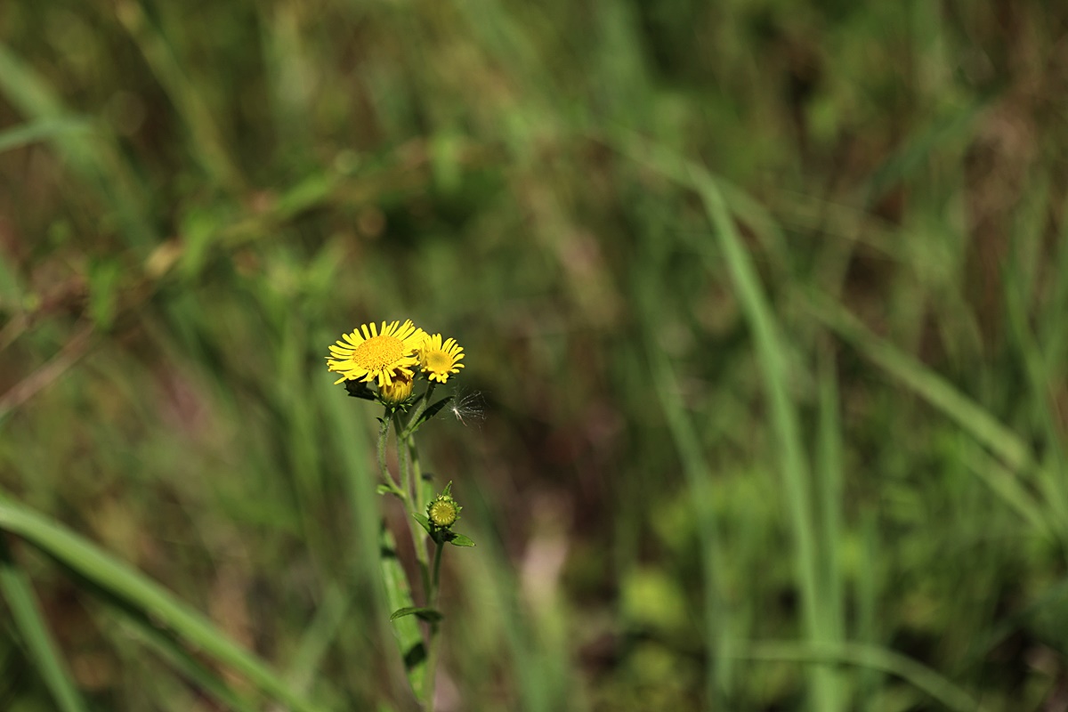 25-07-13 (12)-1.JPG
