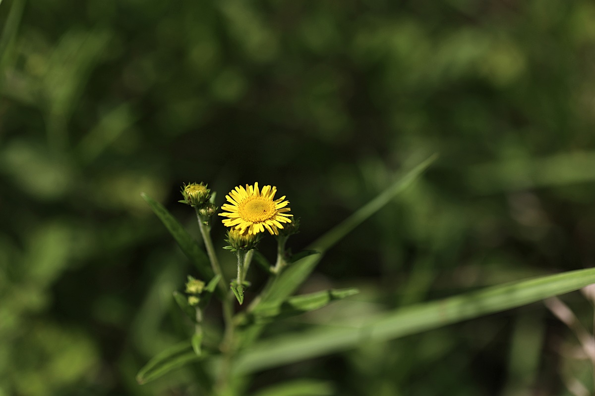 25-07-13 (2)-1.JPG