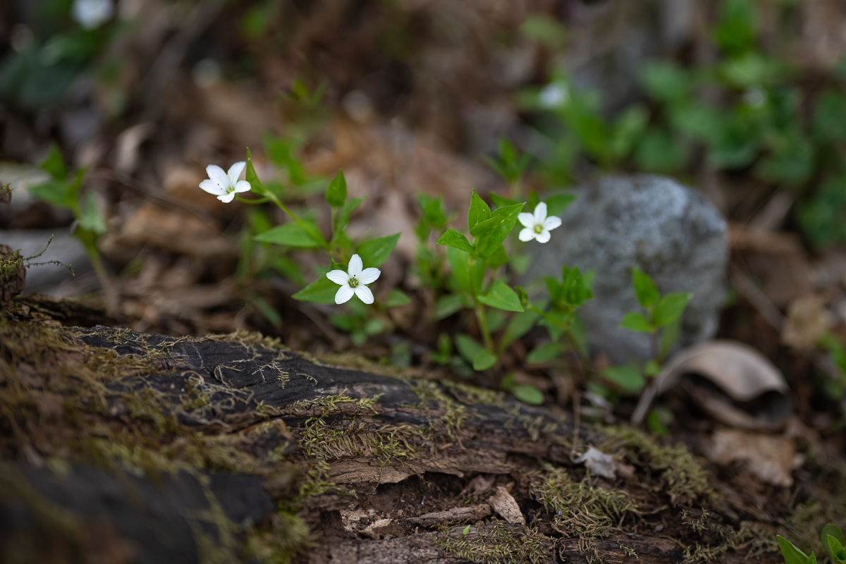 DSC_7160.jpg