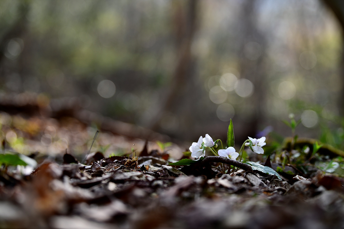 _DSC3543.jpg