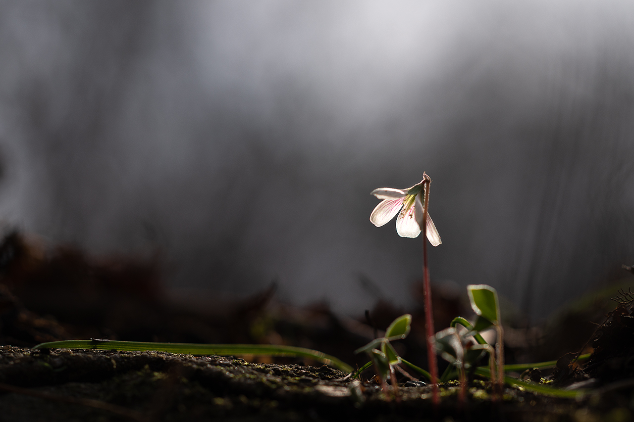 _DSC4101 복사.jpg