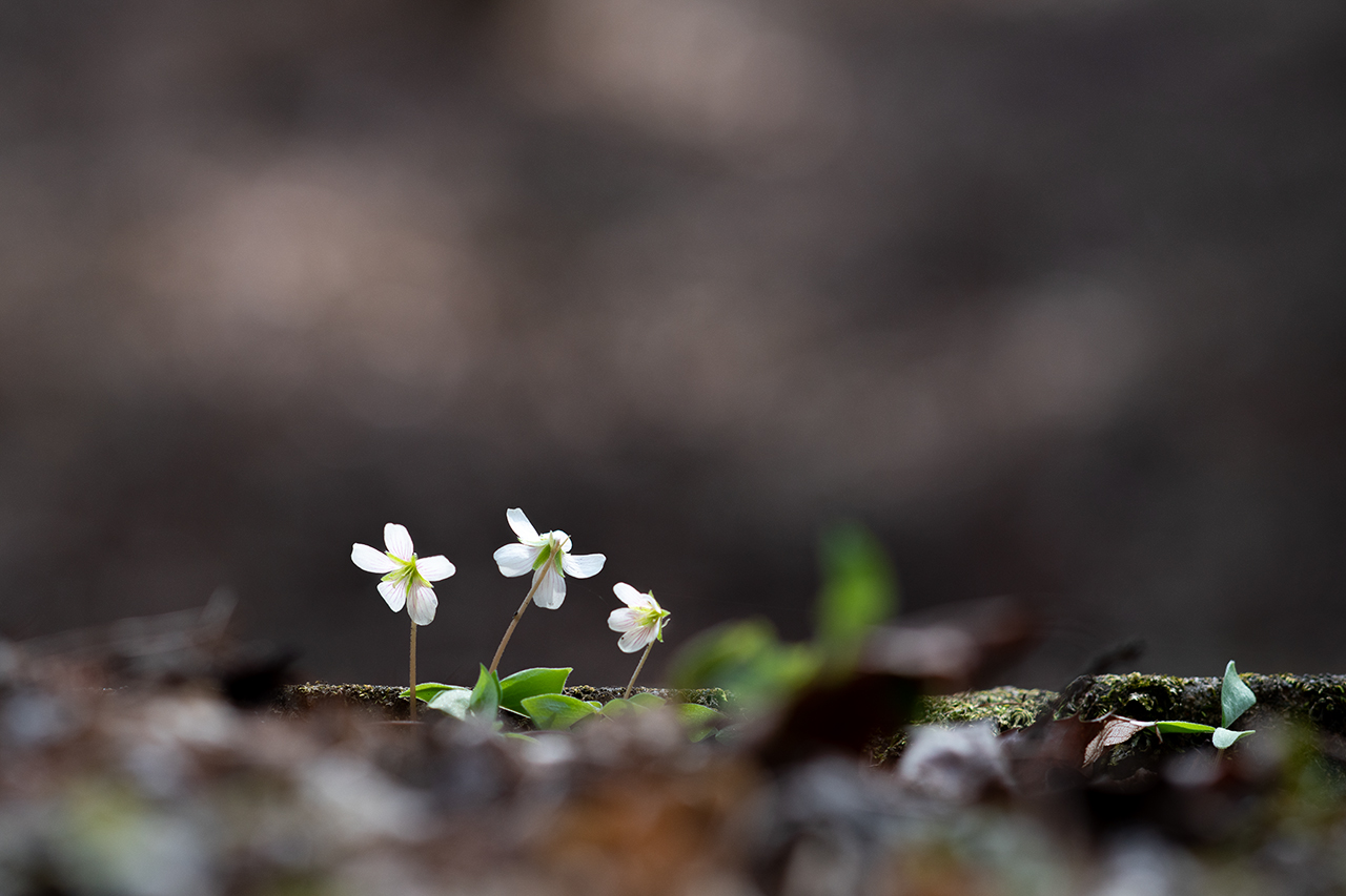 _DSC4225 복사.jpg