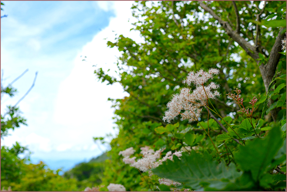 DSC_4043.jpg