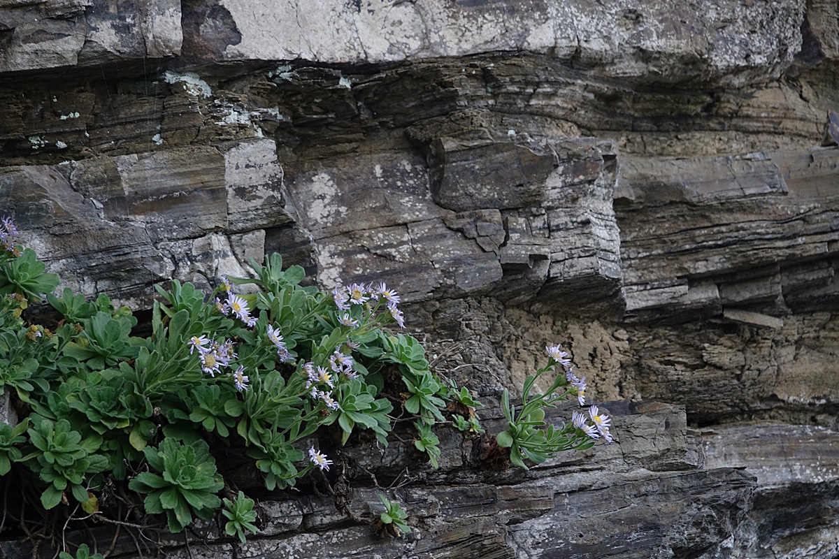 25-10-27 (158)-1.JPG