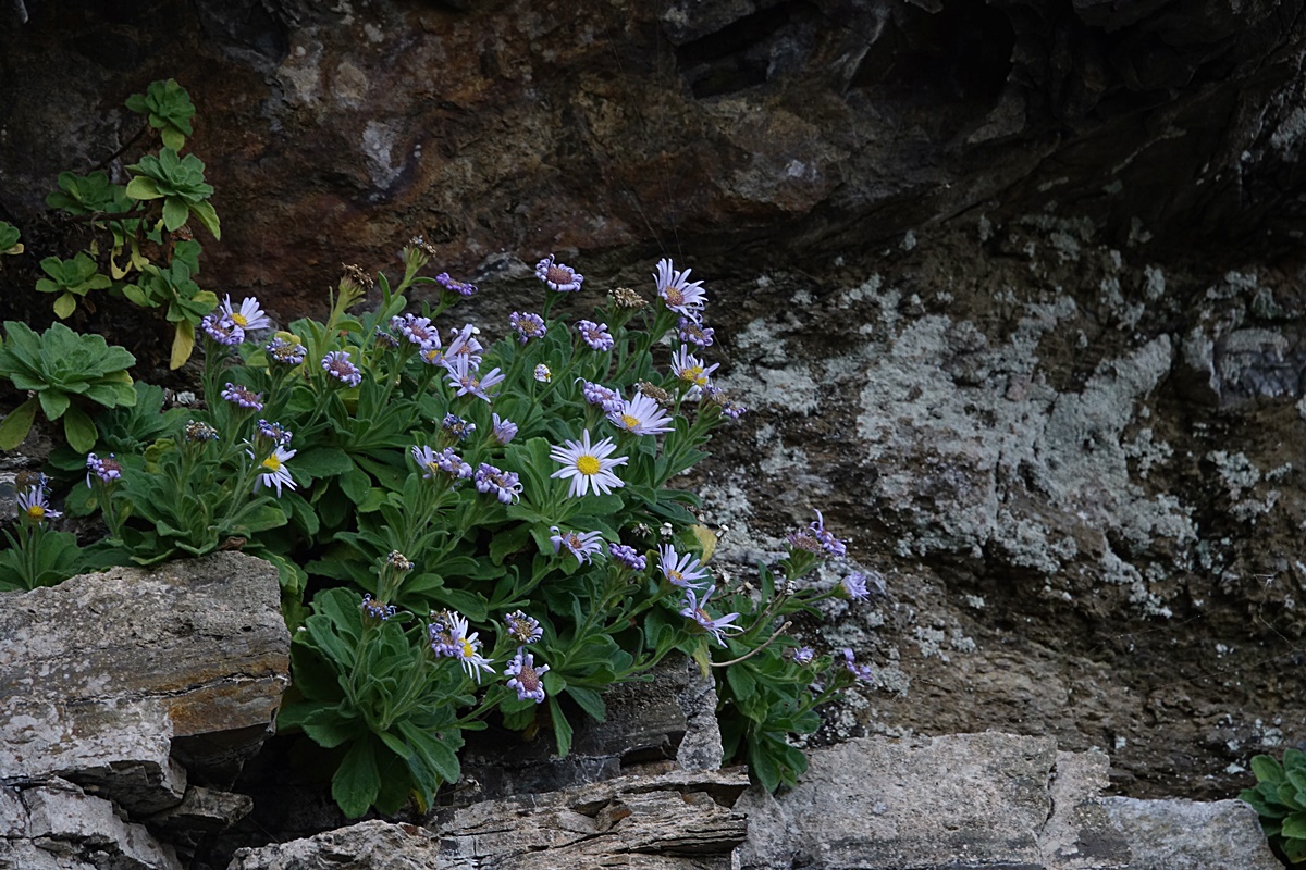 25-10-27 (156)-1.JPG