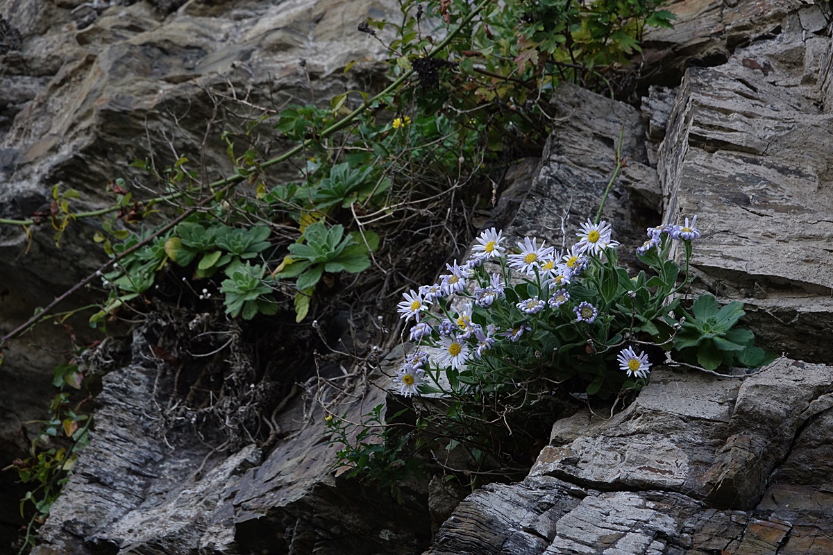 25-10-27 (160)-1.JPG