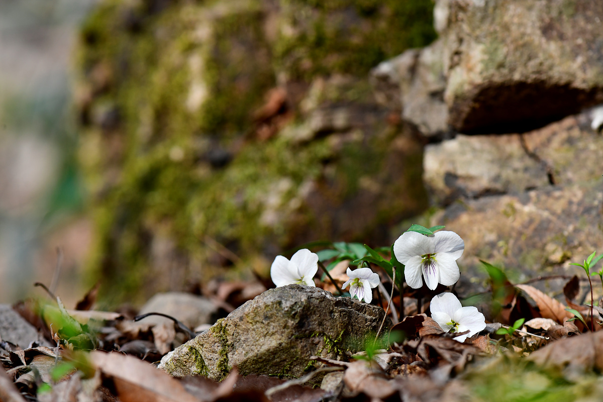 _DSC3579.jpg