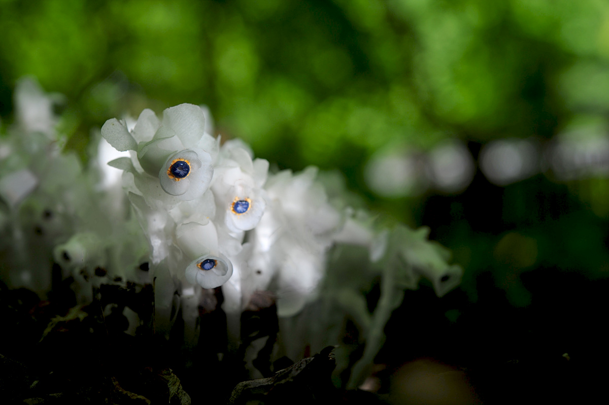 DSC_8798s.jpg