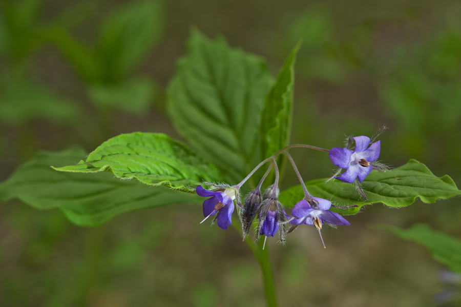 DSC_9177.jpg