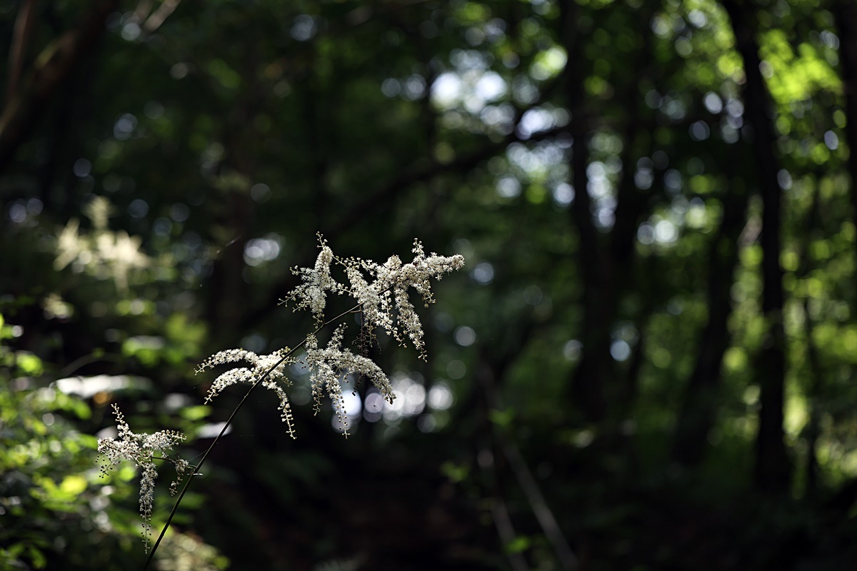 24-09-01 (91)-1.JPG