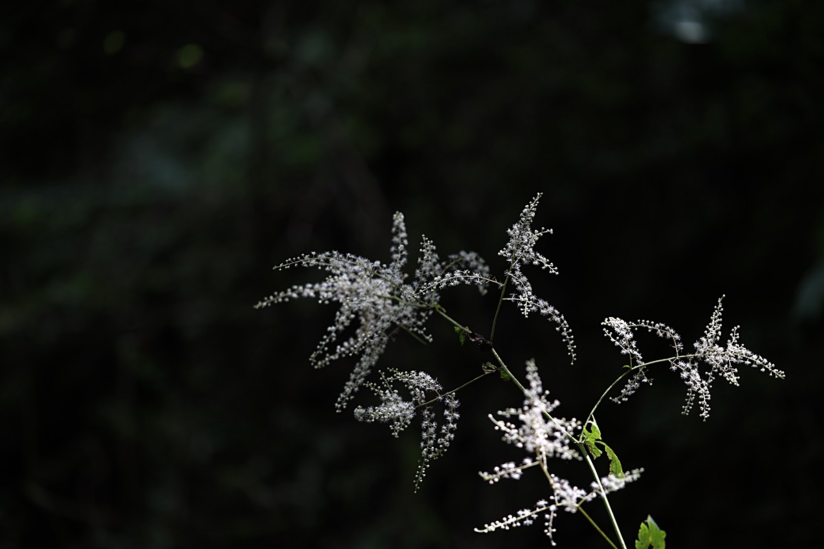 24-09-01 (165)-1.JPG