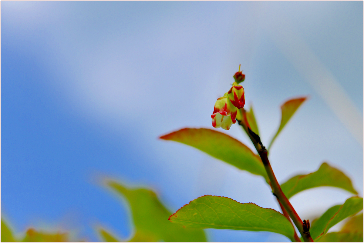 DSC_2105.jpg