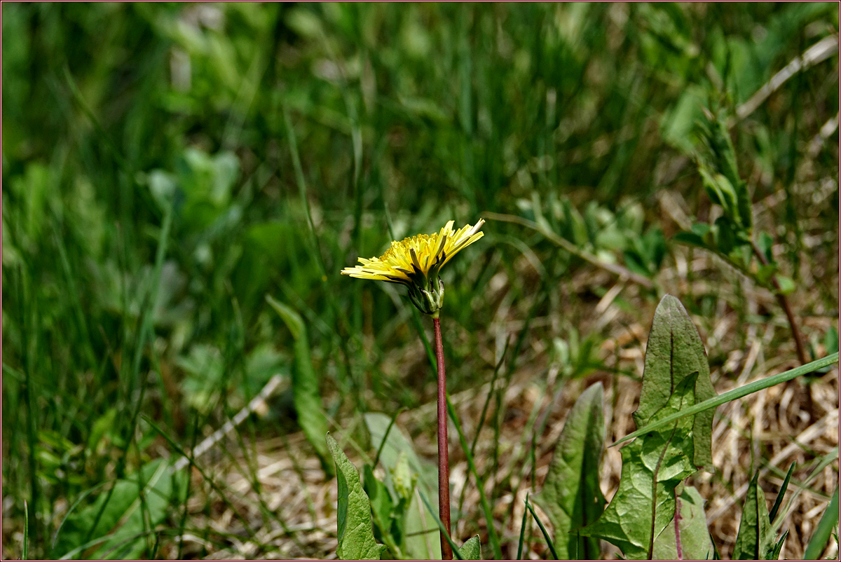 KHS09945.jpg