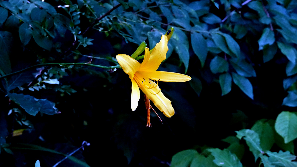 KHS06352.jpg