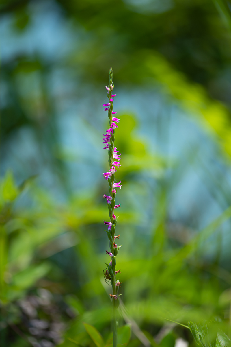 DSC_1364.jpg