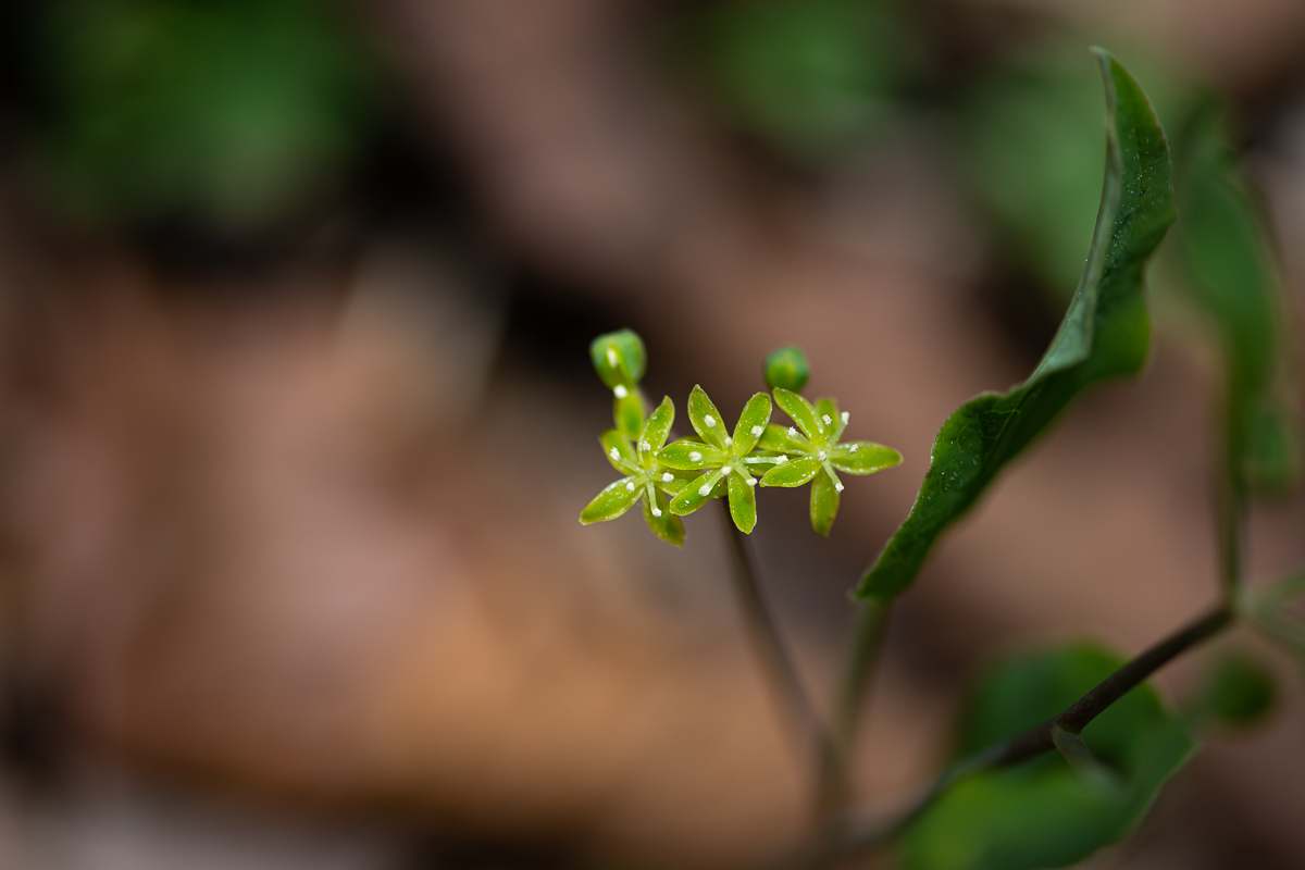DSC_6031.jpg