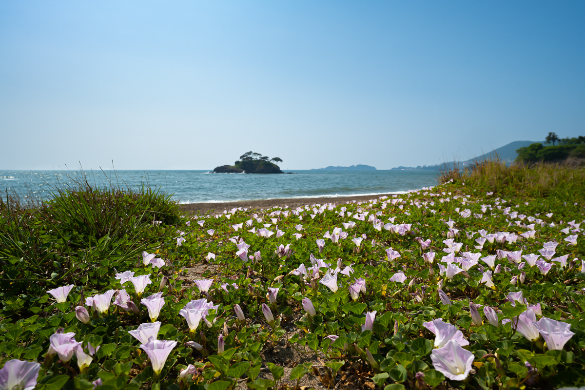 DSC_5257.jpg