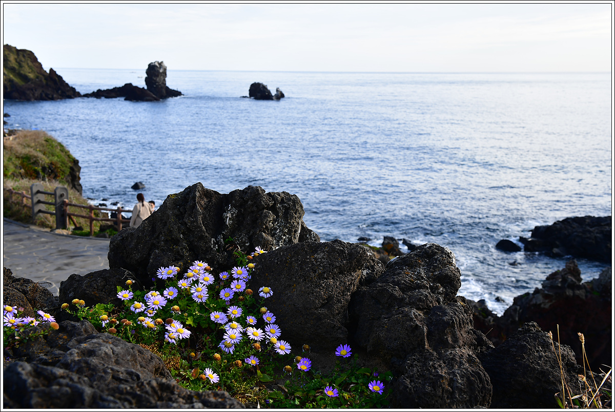 CJH_0603 완.jpg