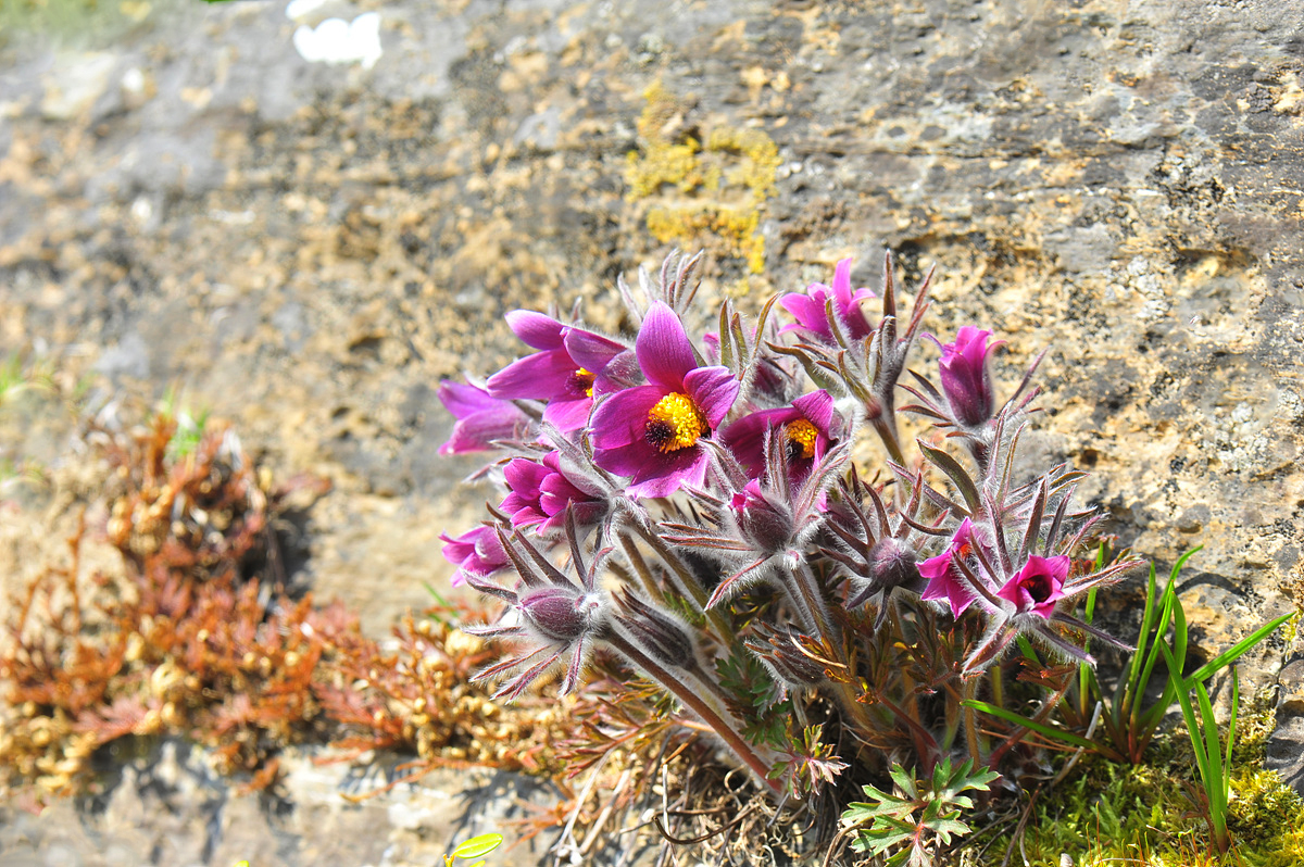 DSC_8318s.jpg