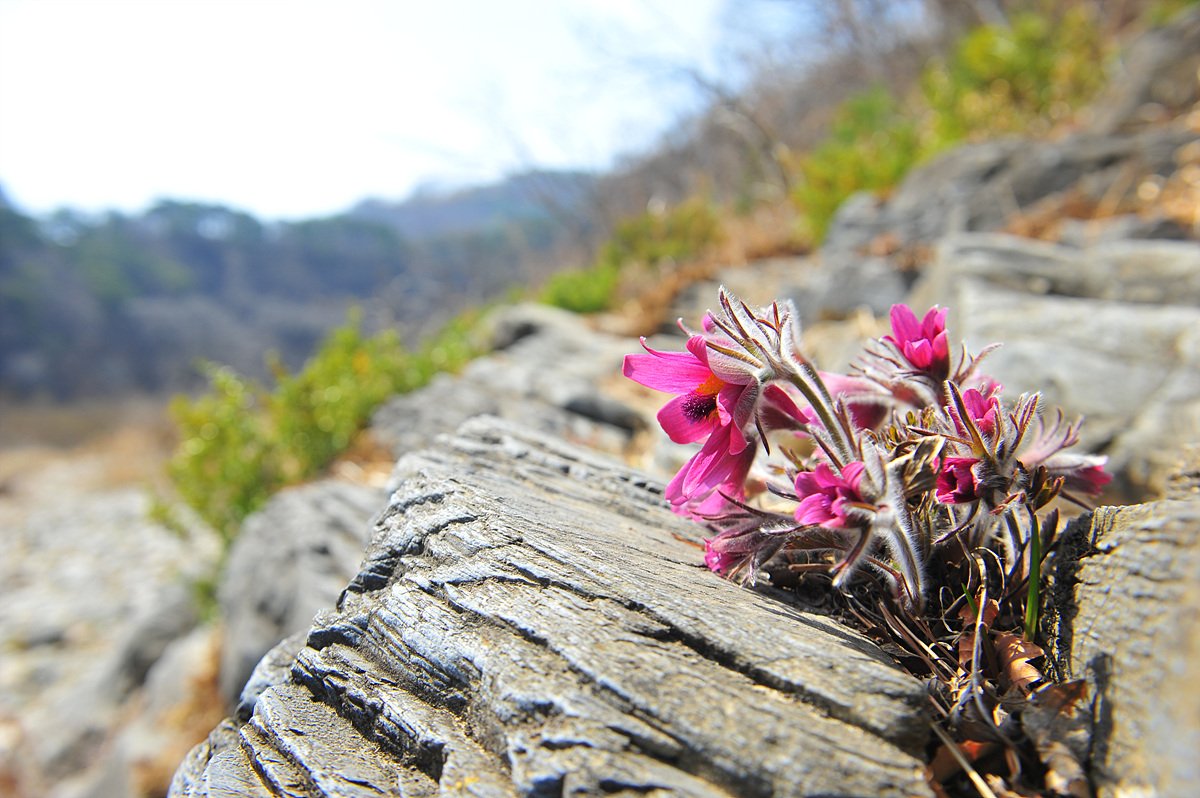 DSC_8617.jpg