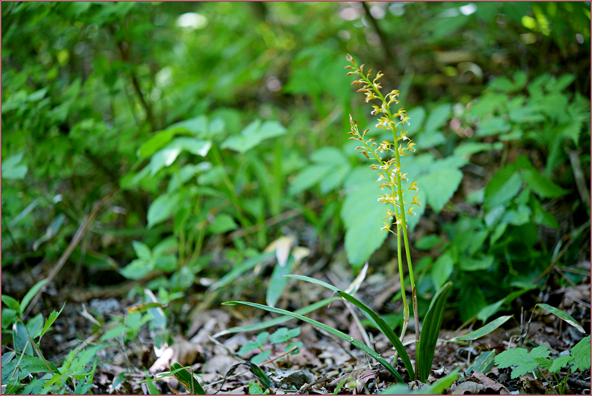 DSC_8856.jpg