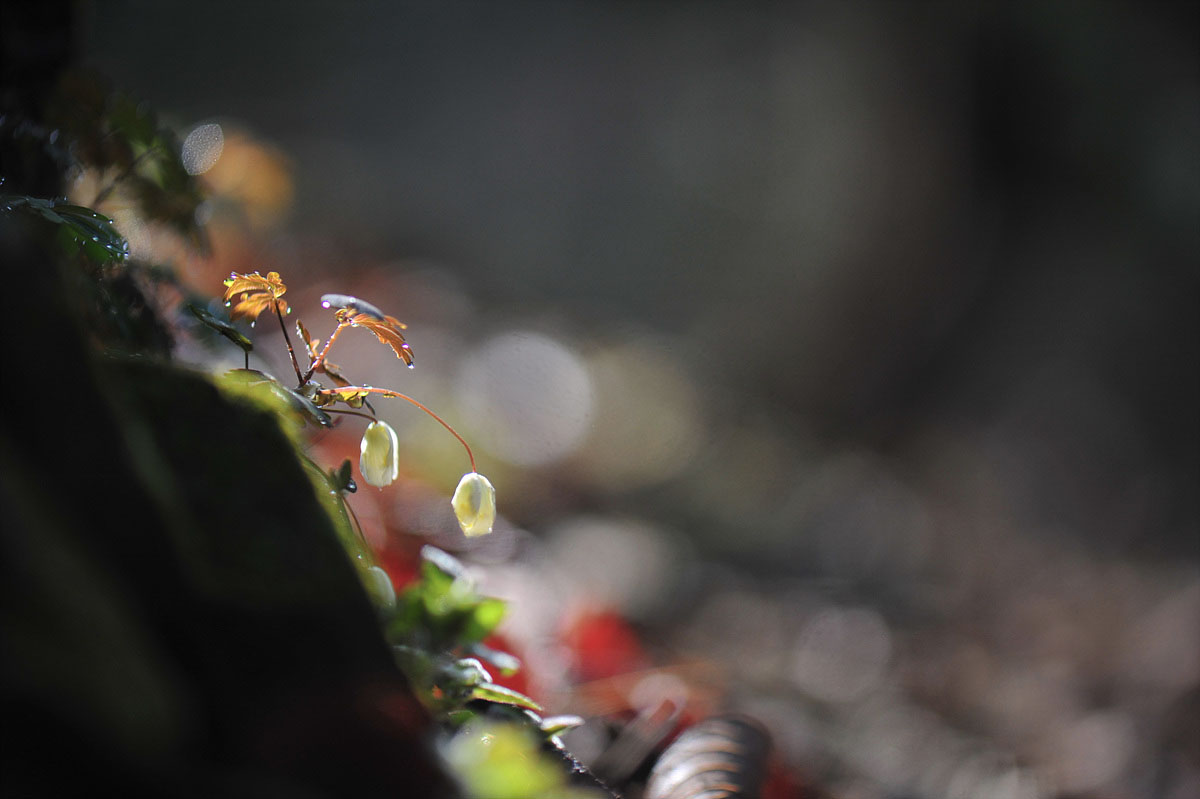 DSC_7682ss.jpg