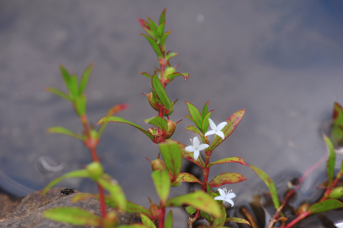 DSC_2268sss.jpg