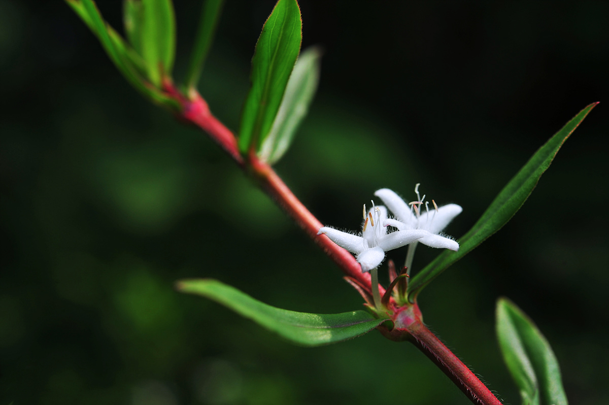 DSC_2230sss.jpg
