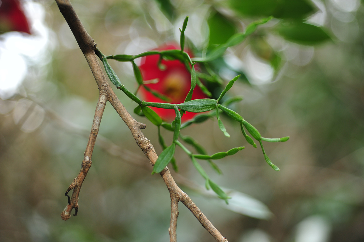 사본 -2011@03-01-03G 762.jpg