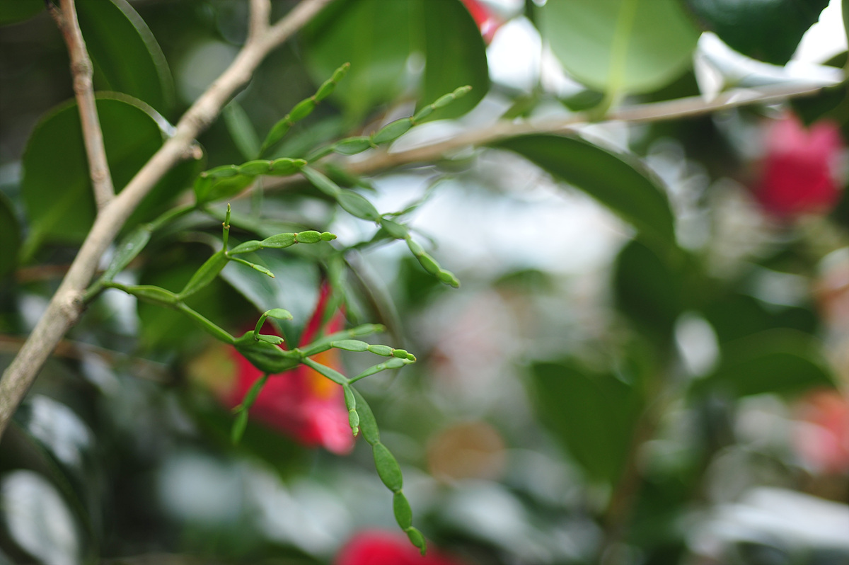 사본 -2011@03-01-03G 751.jpg