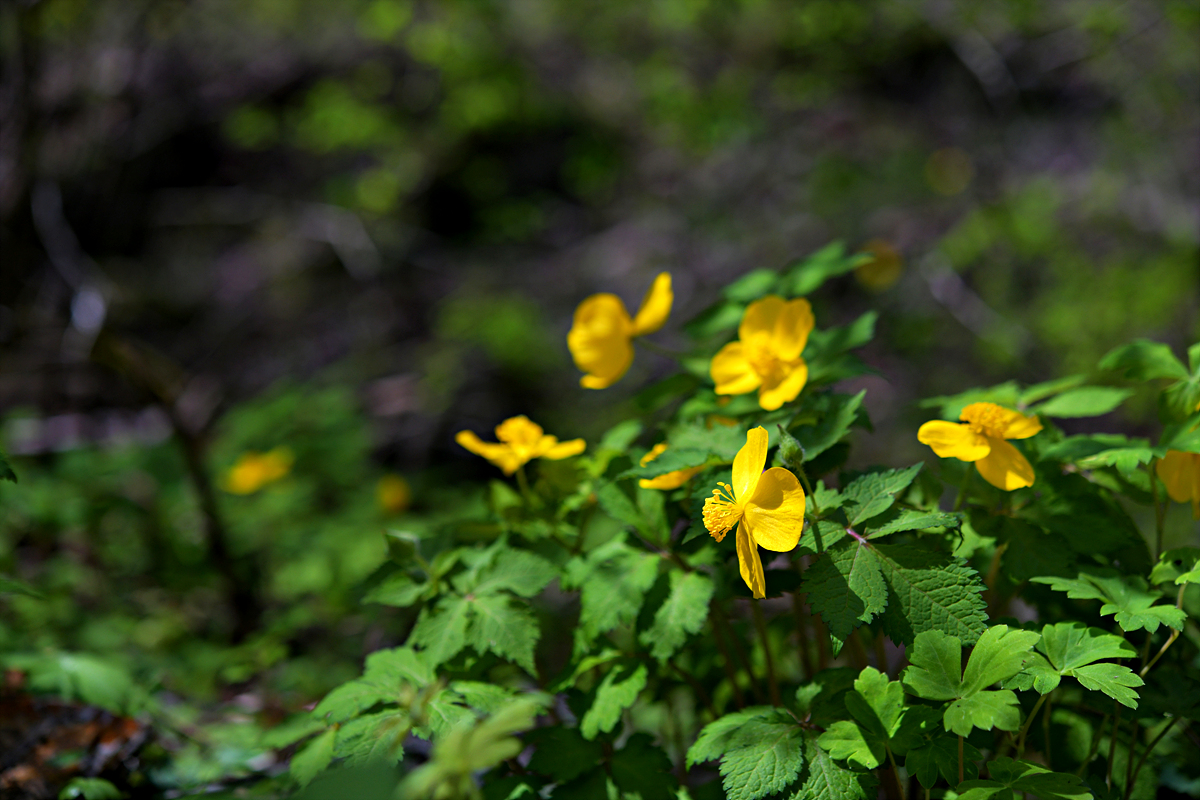 DSC_8280.jpg