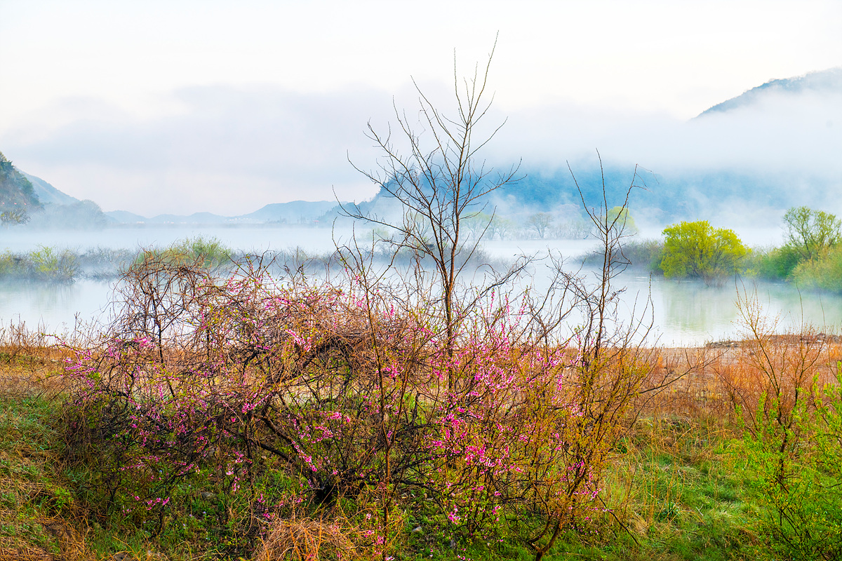 _DSC3695aa.jpg
