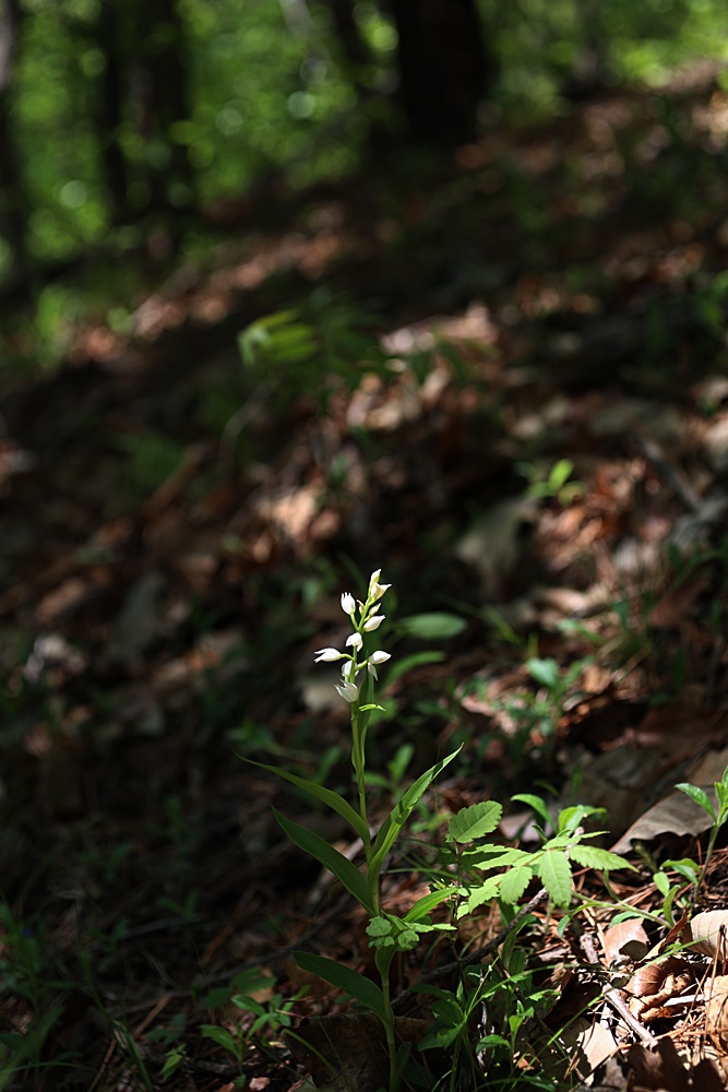25-05-02 (153)-1.JPG