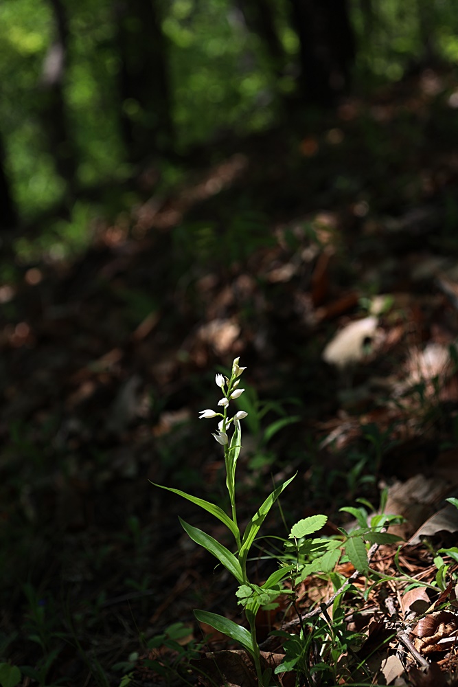 25-05-02 (155)-1.JPG