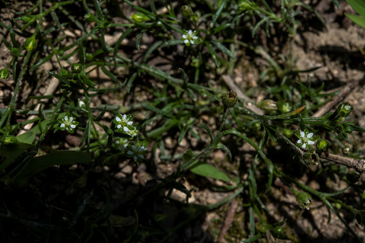 _DSC8305aa.jpg