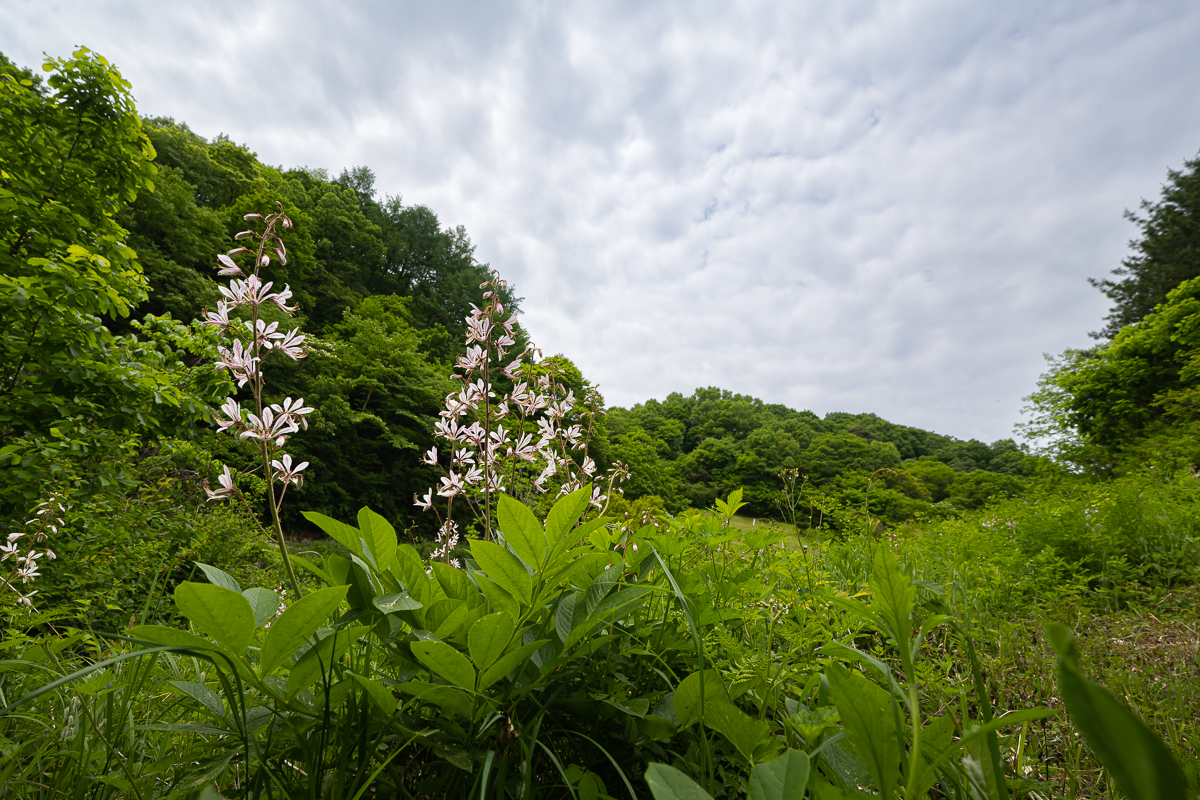 DSC_4677.jpg