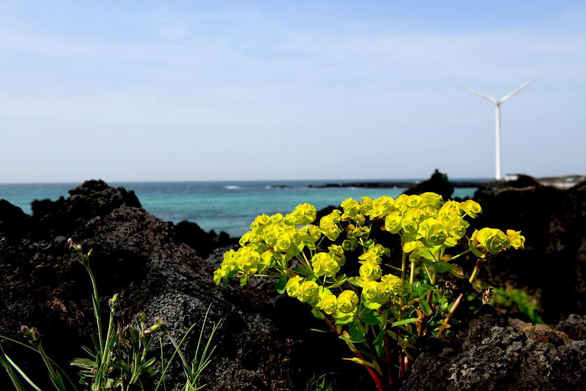 DSC_4751sss.jpg