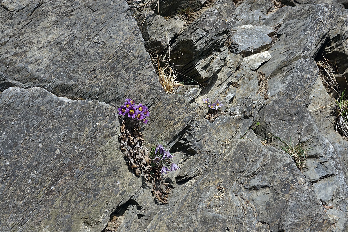 25-03-26 (209)-1.JPG