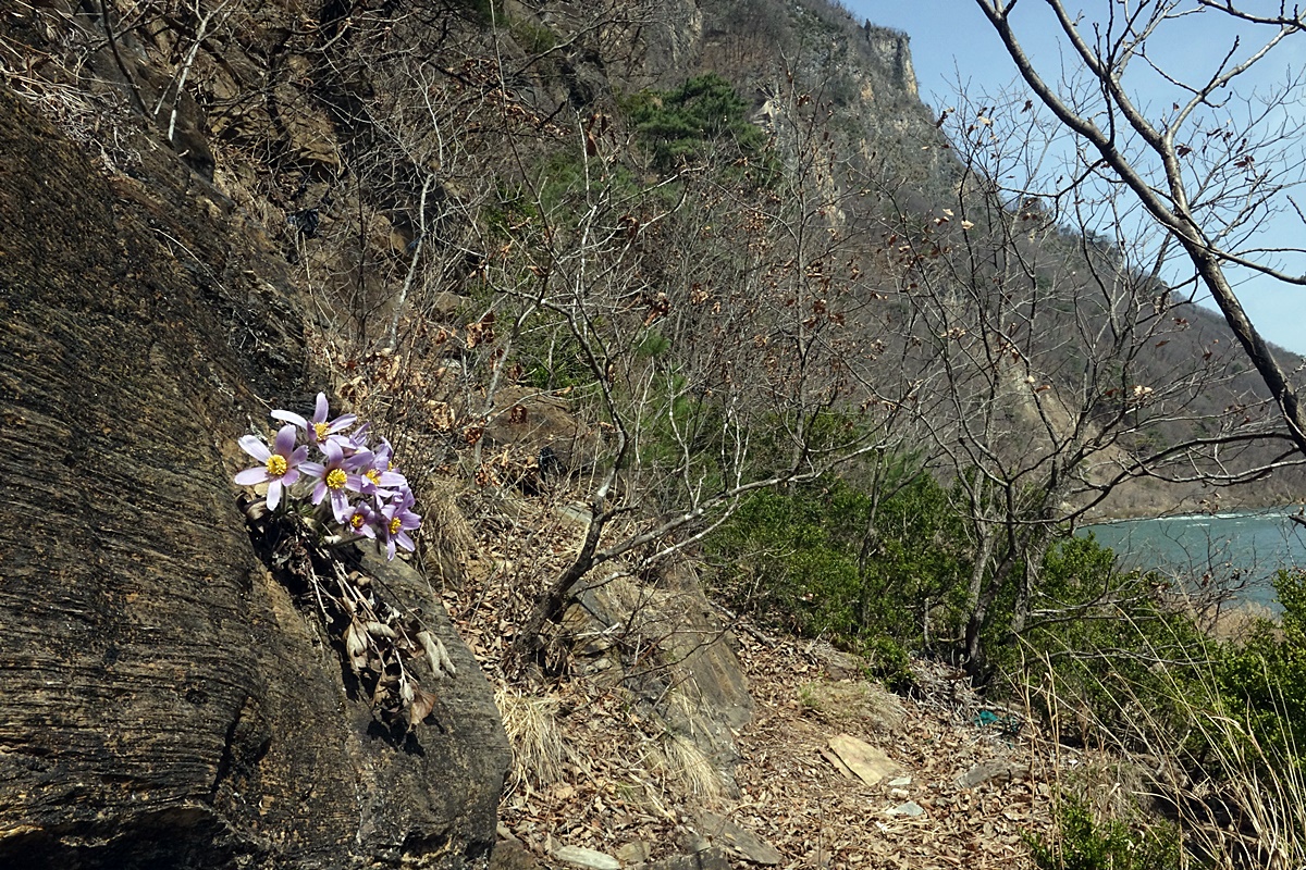 25-03-26 (145)-1.JPG