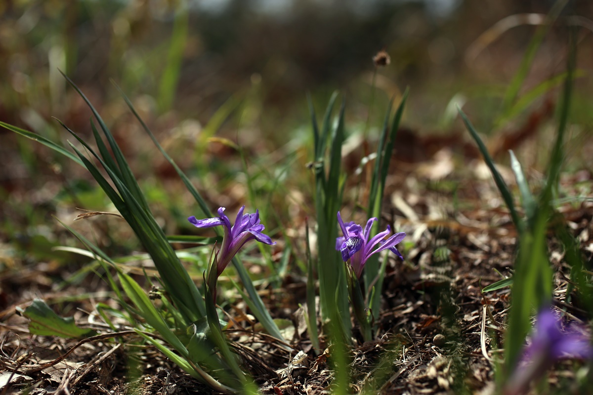 20-04-22 (174)-1.JPG