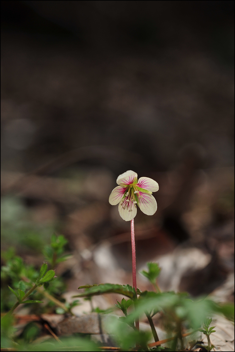 DSC_7886.jpg