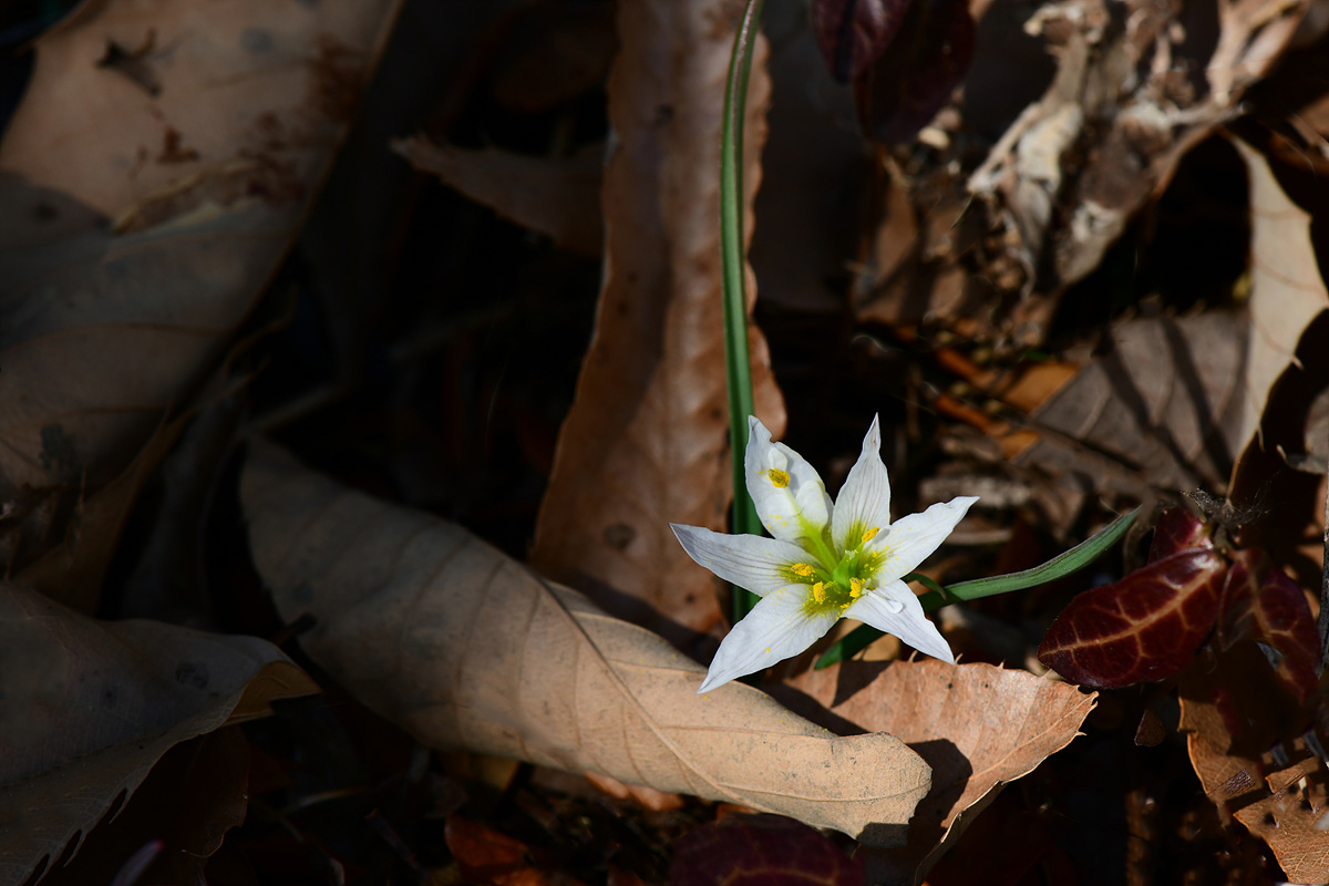 DSC_8905s.jpg